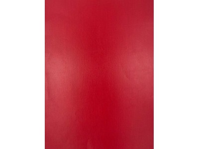 Evelatus Universal Classic Cowhide A3 Film