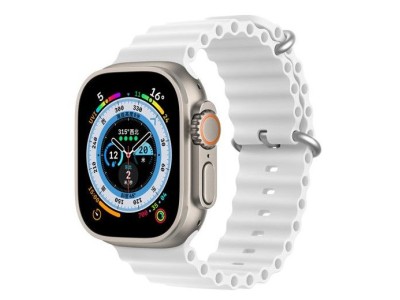 Dux Ducis Silicone Strap for Apple