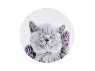 ILike   Universal Pop Holder Cat
