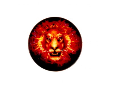 ILike   Universal Pop Holder Fire Lion