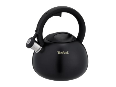 Non-Electric Kettle TEFAL N4180410, Black, Matte