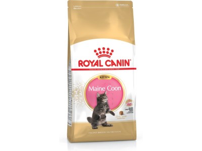 ROYAL CANIN Maine Coon Kitten- dry