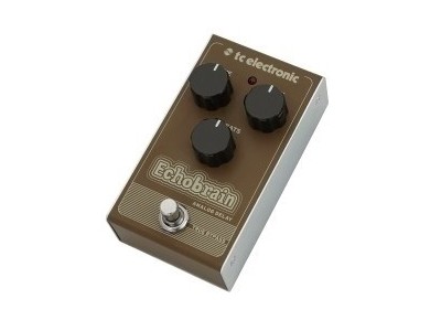 TC Electronic Echobrain Analog Delay Efekt
