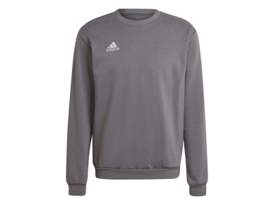 Adidas Entrada 22 Sweat Top grey