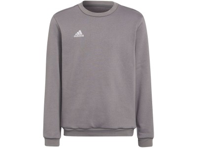 Adidas Entrada 22 Sweat Top grey