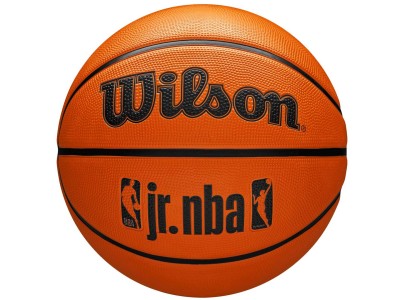 Wilson JR NBA Fam Logo Basketball