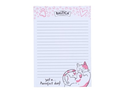 BALTICA Notebook