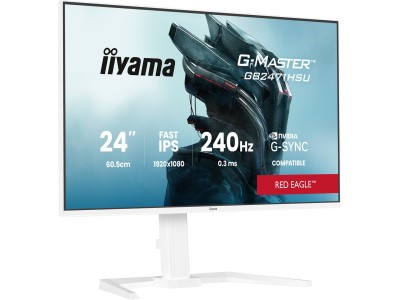 Iiyama G-MASTER GB2471HSU-W1 computer monitor 60