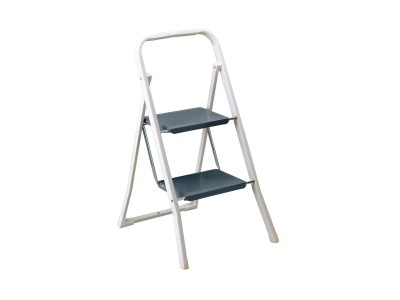 RAYEN 2-Step Ladder