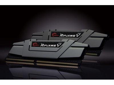 G.Skill Ripjaws V memory module