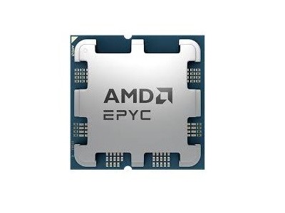 AMD EPYC 4465P Processor (12/24) 3