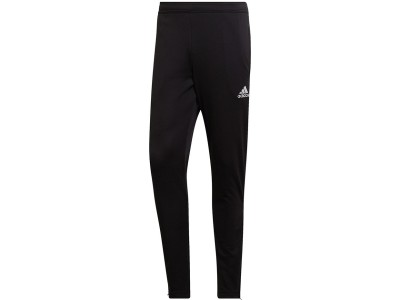 Men`s pants adidas Entrada 22 Training