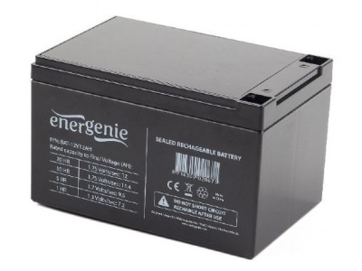 Gembird BAT-12V12AH UPS battery Sealed Lead
