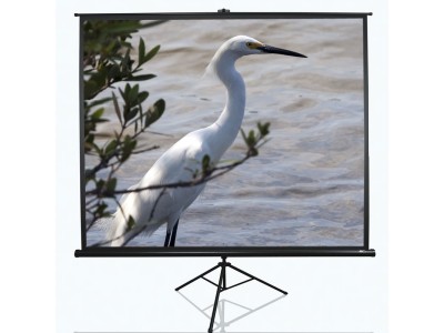 Elite Screens | Tripod Series |