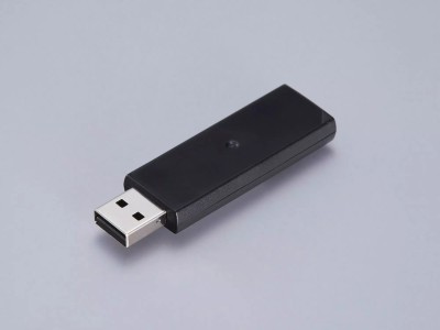 Epson Wireless LAN Interface-P1 (5GHz) |