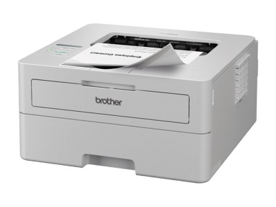 Brother HL-L2865DW | Mono | Laser
