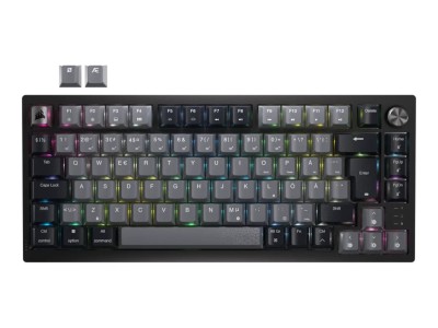 Corsair Keyboard | K65 PLUS |
