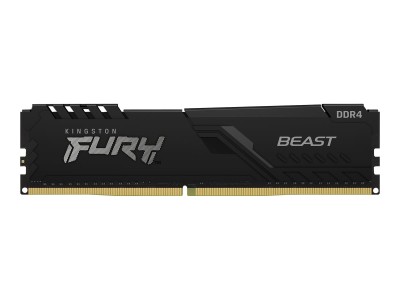 Kingston | FURY Beast Black EXPO