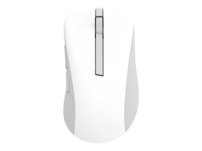 Asus Wireless Mouse | MD102 |