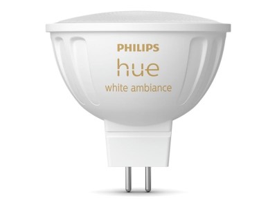 Philips Hue WA 12V MR16 |