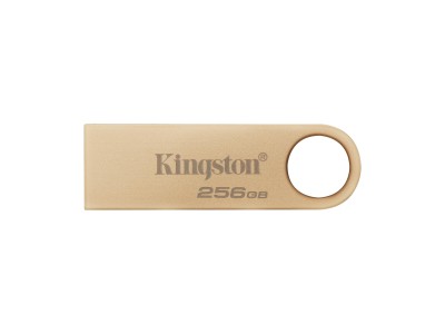 Kingston DataTraveler SE9 G3 | 256