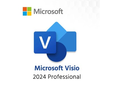 Microsoft Visio Professional 2024 Online Product