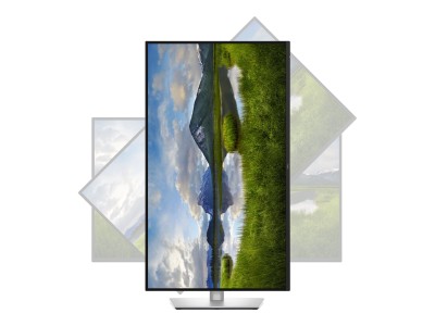 Dell | P3225QE | 32 &quot
