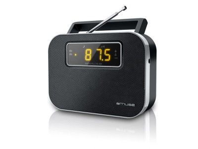 Muse | M-081R | Alarm function