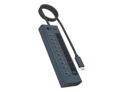 ICY BOX 10 ports USB Type-C