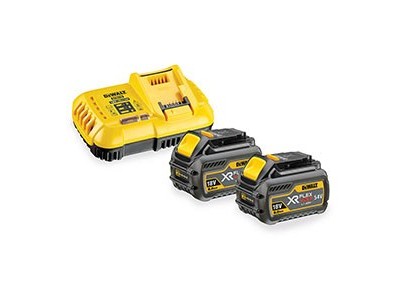 DeWALT DCB118T2-QW cordless tool battery /