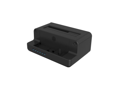 Raidsonic | Icy Box | IB-2914MSCL-C31