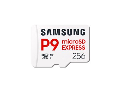 Samsung P9 Express | MicroSD Card
