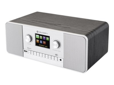 GoGen IR 257 BTDAB Internet Digital