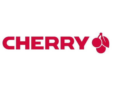 CHERRY DW 3000 keyboard Mouse included