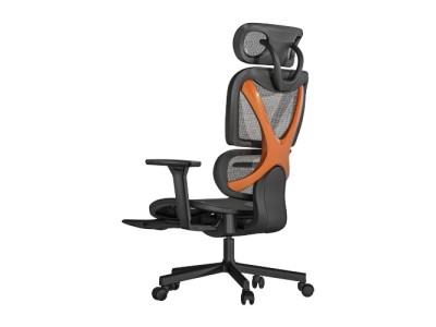 PREMIUM Office Chair with Headrest, Back