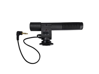 Microphone video cameras