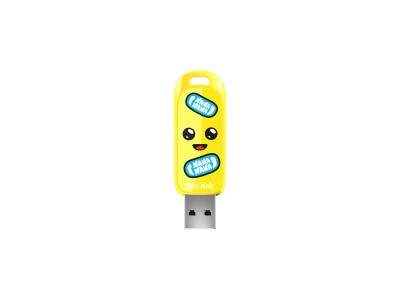 SANDISK USB 3.2,Ingot Type-A