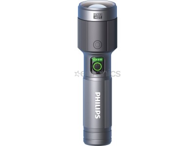 Philips Torch, 1500lm, 30W, pelēka -