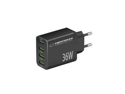 Esperanza EZC107K mains charger 36W Black