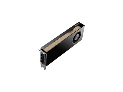 PNY NVIDIA RTX PRO 6000 Blackwell