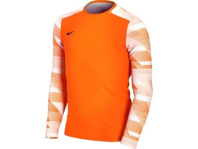 Nike Dry Park IV JSY LS