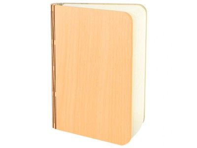 Galda lampa, naktslampa ALBUM, 1.6W