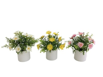 Mākslīgie ziedi, margrietiņa podiņā 20 cm