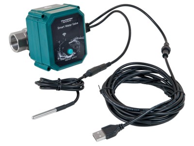 Frankever smart water valve I Inteligentny