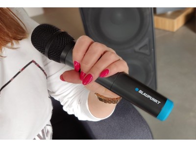 Blaupunkt UHF WM60UDB Dual Wireless Microphone