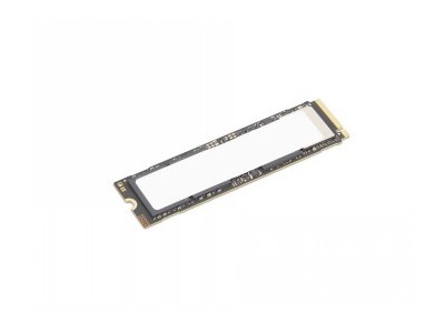LENOVO TS 1TB PERFORMANCE PCIE GEN5