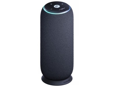 MOTOROLA SOUND FLOW CARBON PG38C07843
