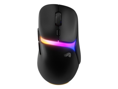 Glorious Gaming Model D3 Wireless Gaming