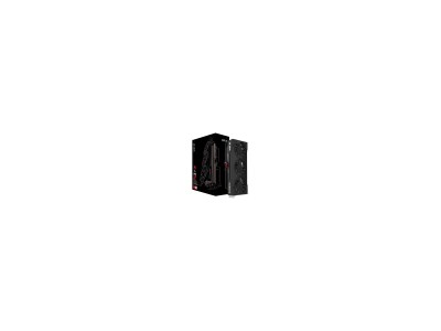 Radeon RX 9060 XT Swift OC