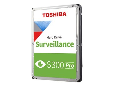 S300 Pro 10 TB, Festplatte